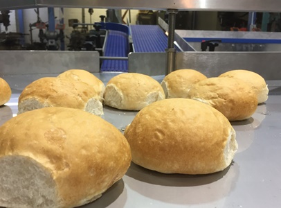 Rotary table feeding bread rolls conveyor for Bakeries