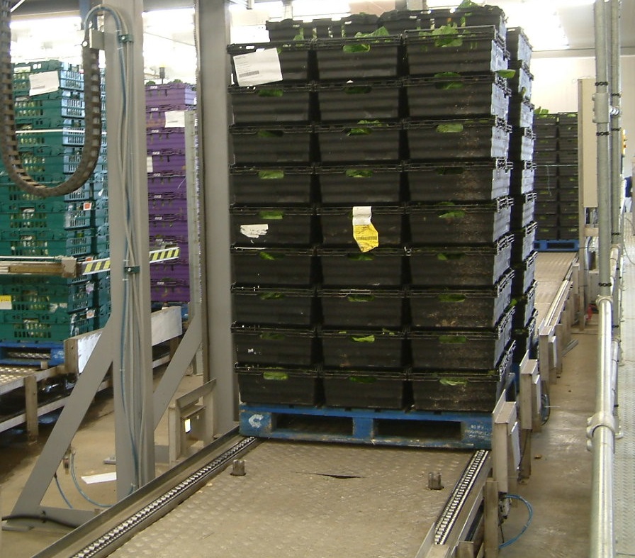 Chain Pallet Conveyor