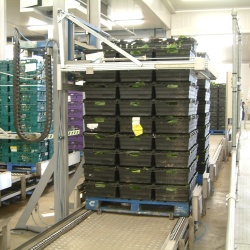 Pallet Conveyor Installation