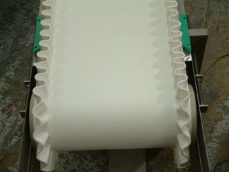 belt conveyor