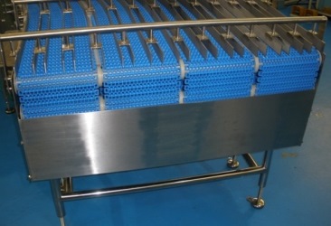 Sortation Lane Conveyor