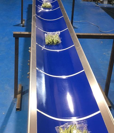 Trough Belt Conveyor with Lines for Loose Products 