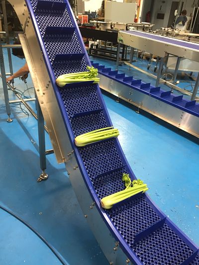 vegetable conveyor system